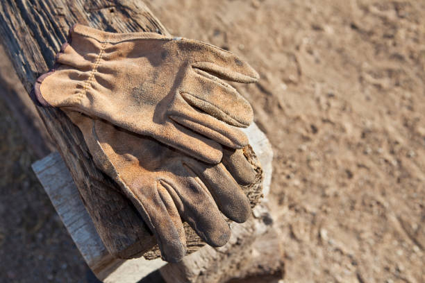 Worker's work gloves display image